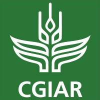 Director of Digital and Data Product Management