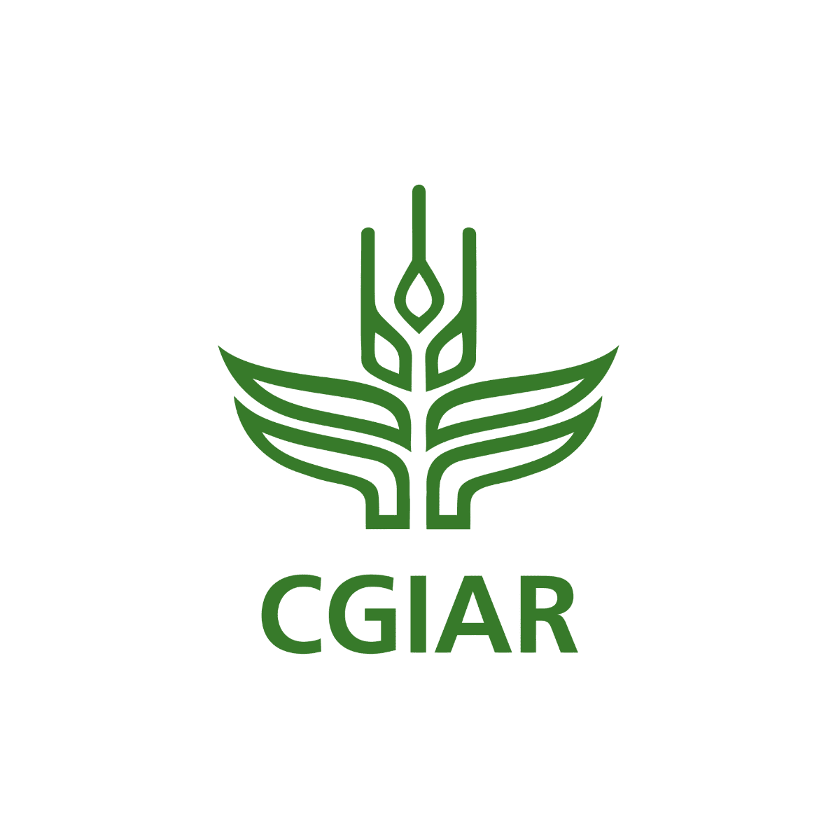 Director, Markets, Trade and Institutions