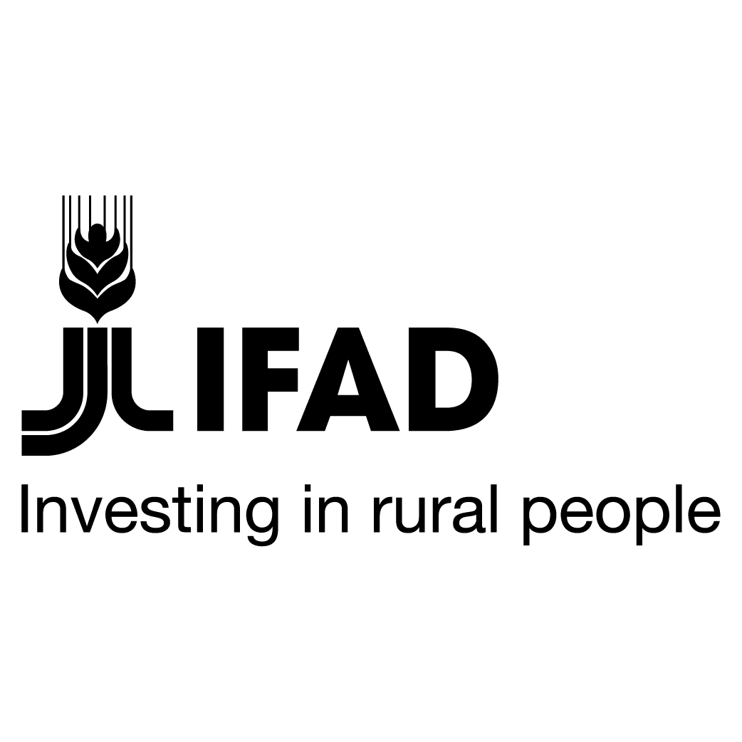 Director Communications