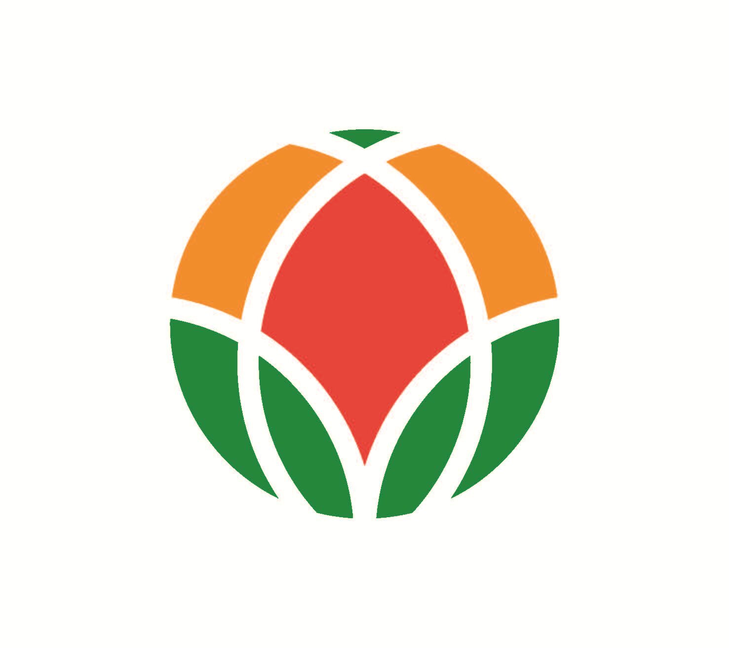 Director General