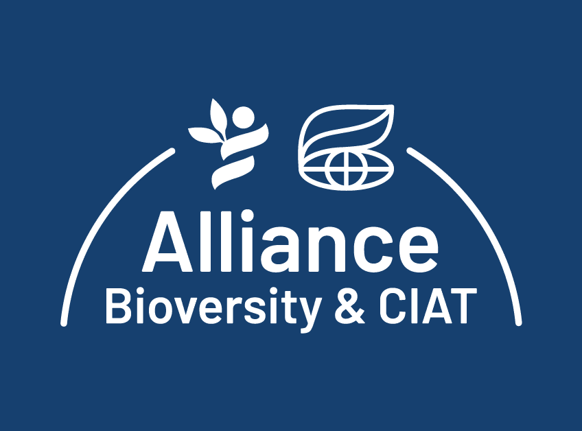 Global Director, Strategic Partnerships and Engagement