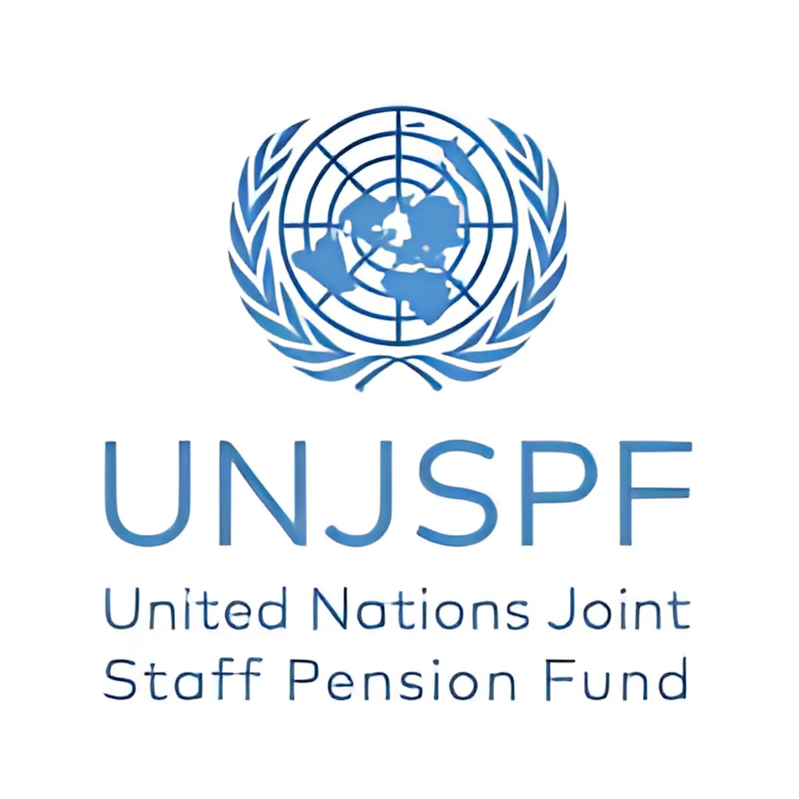 Representative of the Secretary General (RSG)