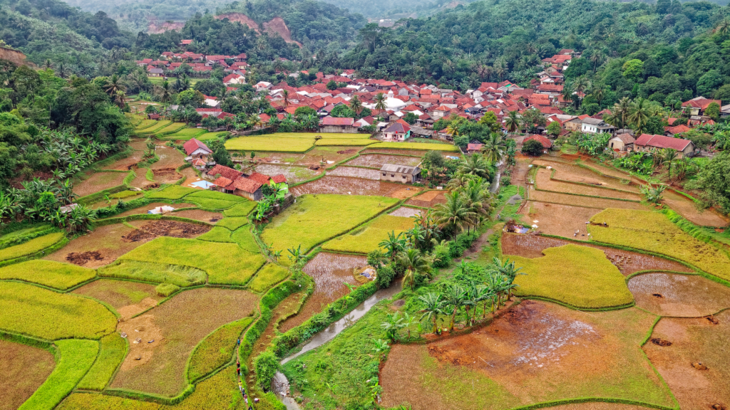 COP29: How the Organisations Fighting Climate Change are Achieving Greater Impact