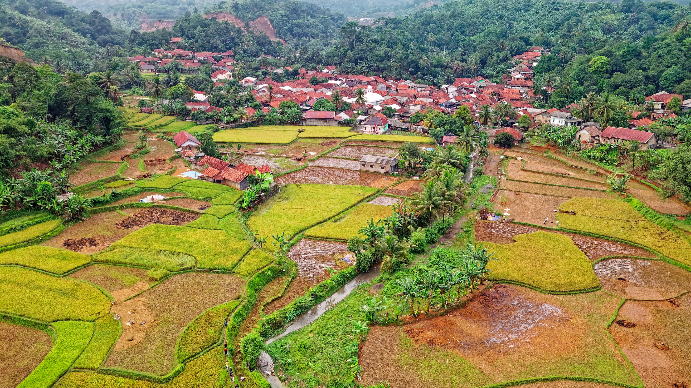 COP29: How the Organisations Fighting Climate Change are Achieving Greater Impact