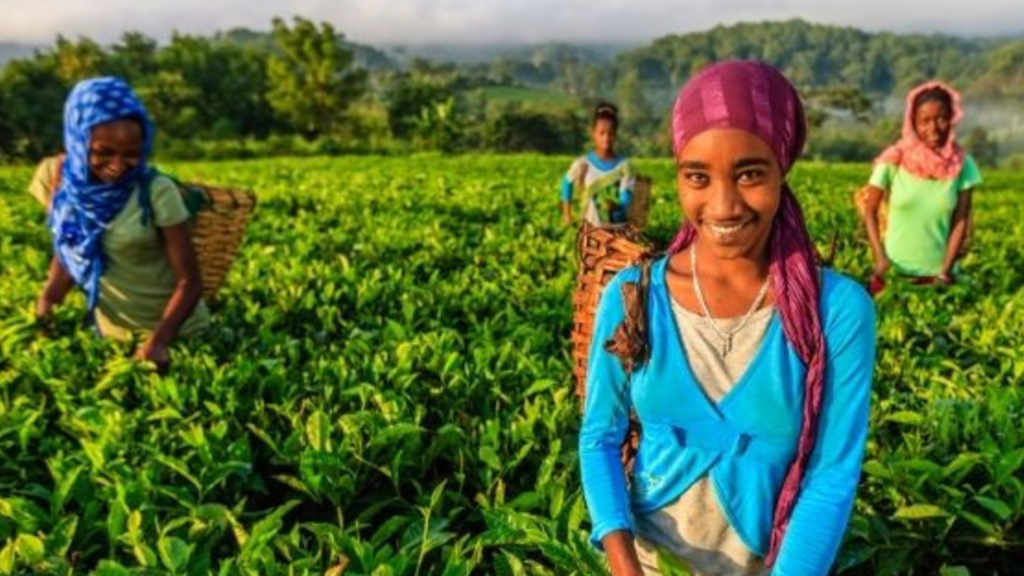 Developing the Women's Economic Empowerment Strategy (2022-2027)